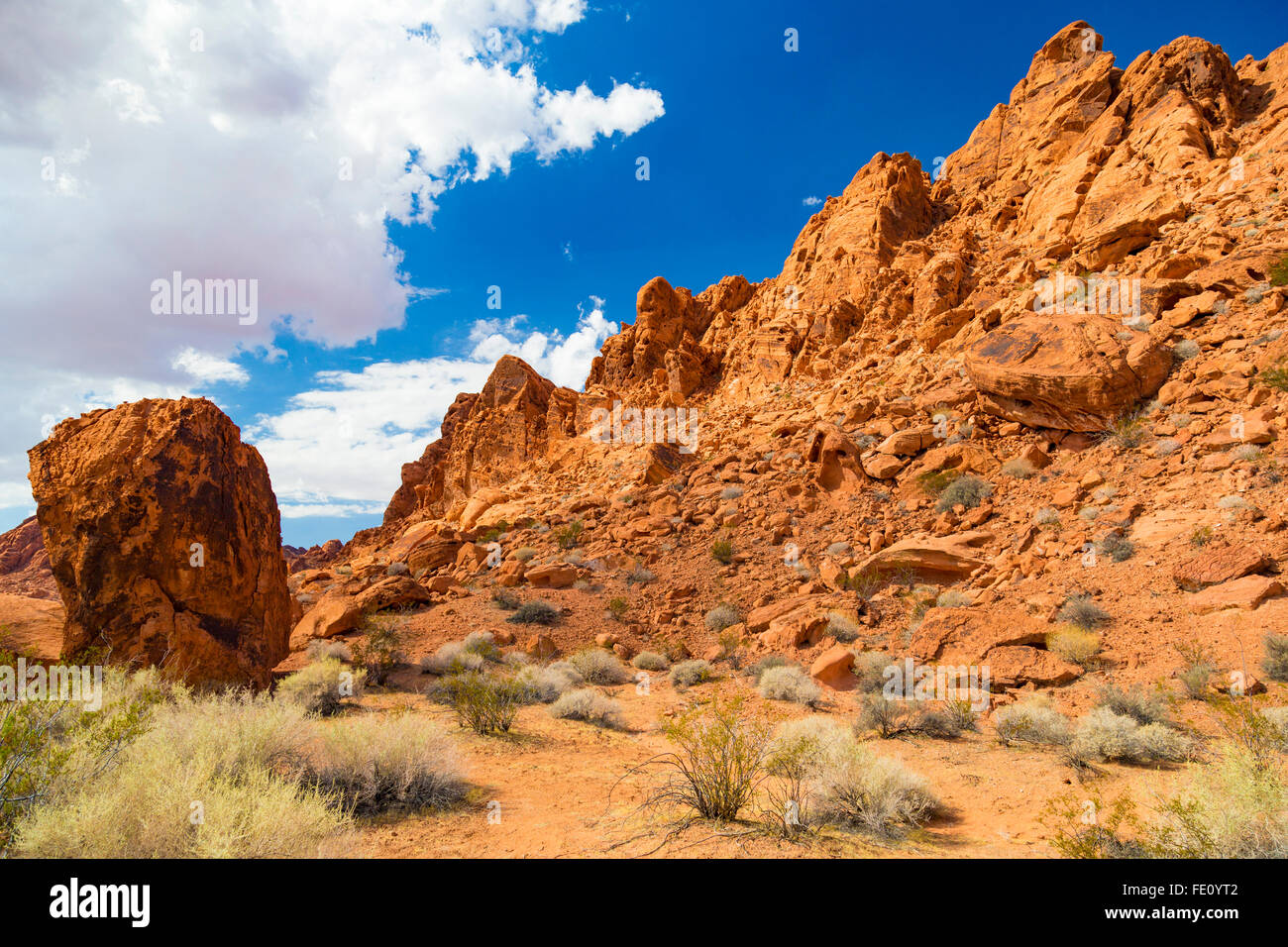 Red Rock Landscape, la Valle del Fuoco del parco statale, Nevada, STATI UNITI D'AMERICA Foto Stock