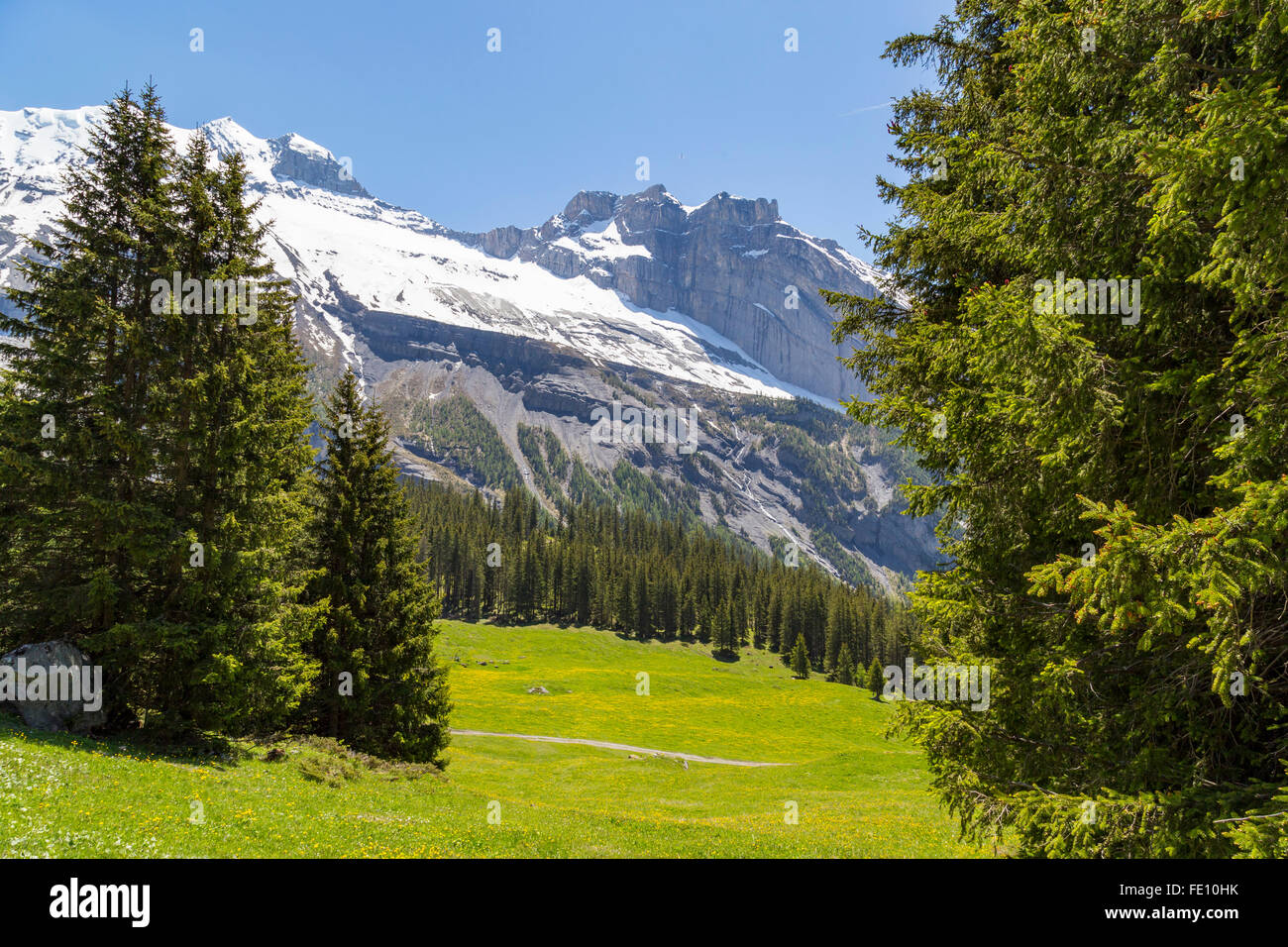 Fantastica vista delle Alpi Svizzere e prati vicino Oeschinensee Oeschinen (lago), su Oberland Bernese, Svizzera Foto Stock