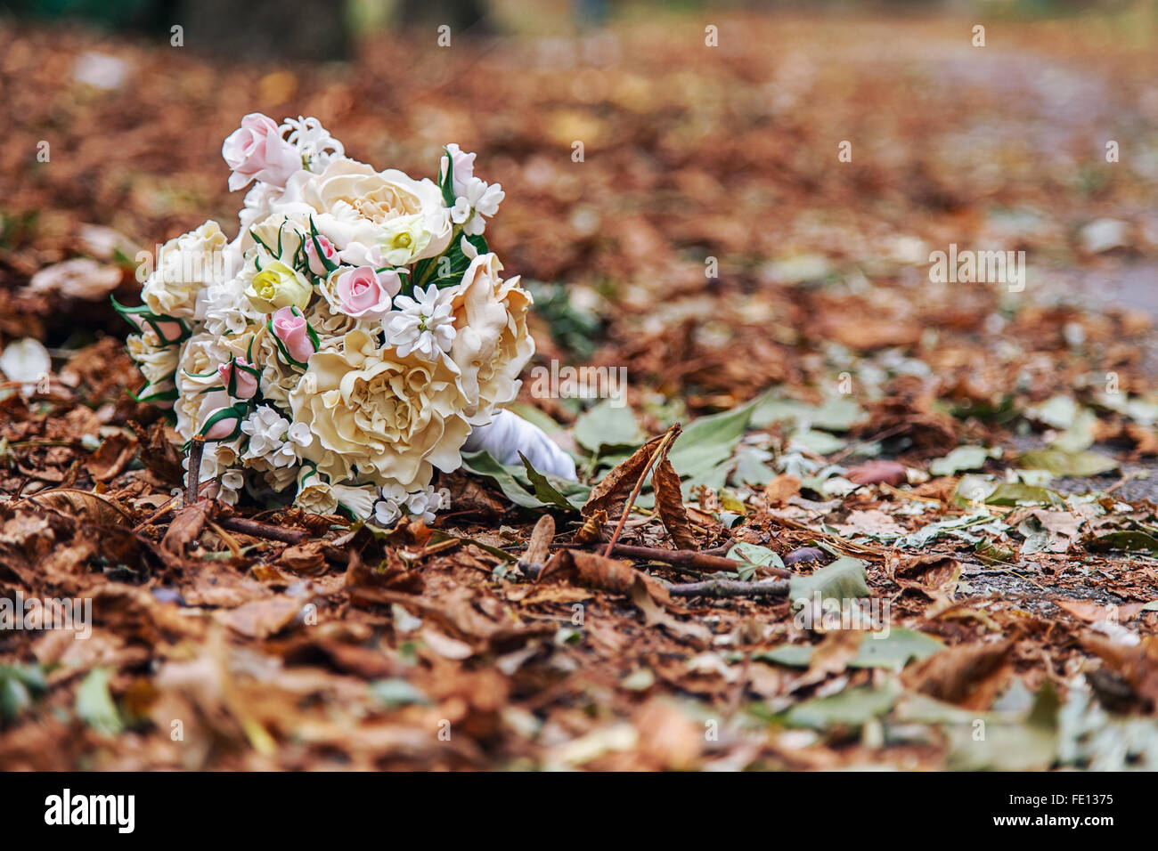 Mazzo di rose su giallo Foglie di autunno Foto Stock