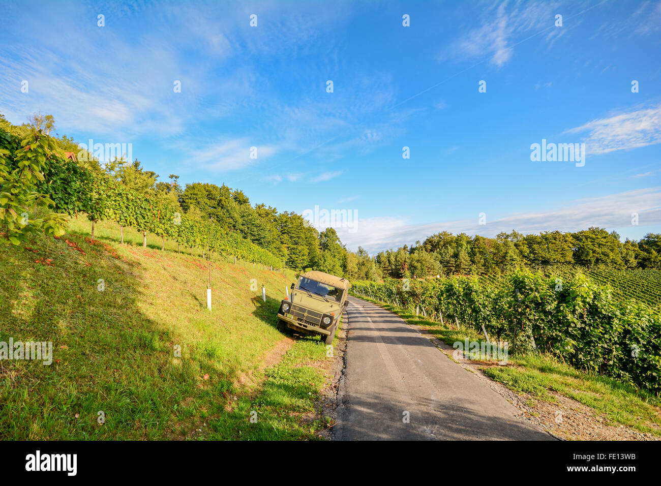 Vigneti con la vecchia auto a sud della Stiria Strada del vino in autunno, Austria Europa Foto Stock