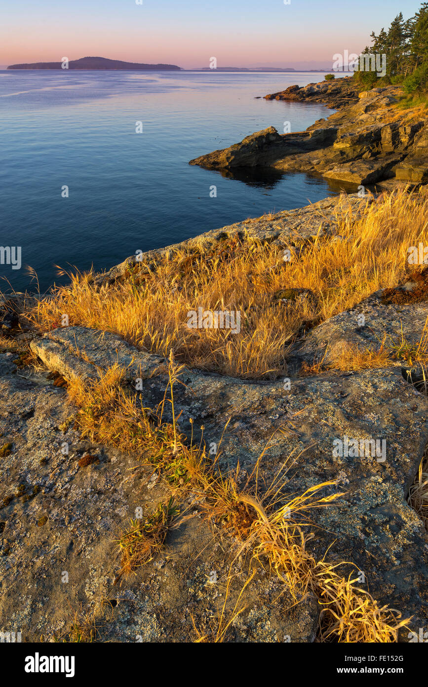 Saltspring Island, British Columbia: Dawn luce sulla costa rocciosa di castoro Punto e Swanson canale, Ruckle parco provinciale Foto Stock