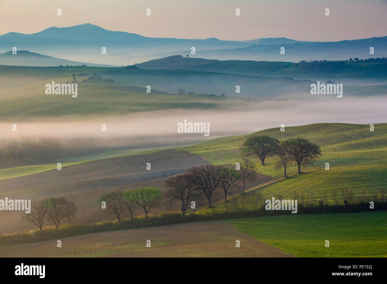 Misty dawn sulla campagna Toscana nei pressi di San Quirico d'Orcia, Toscana, Italia Foto Stock