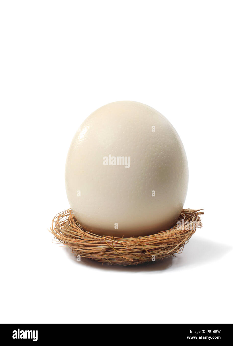 Studio shot di un uovo grande in un nido di uccelli su uno sfondo bianco. Foto Stock