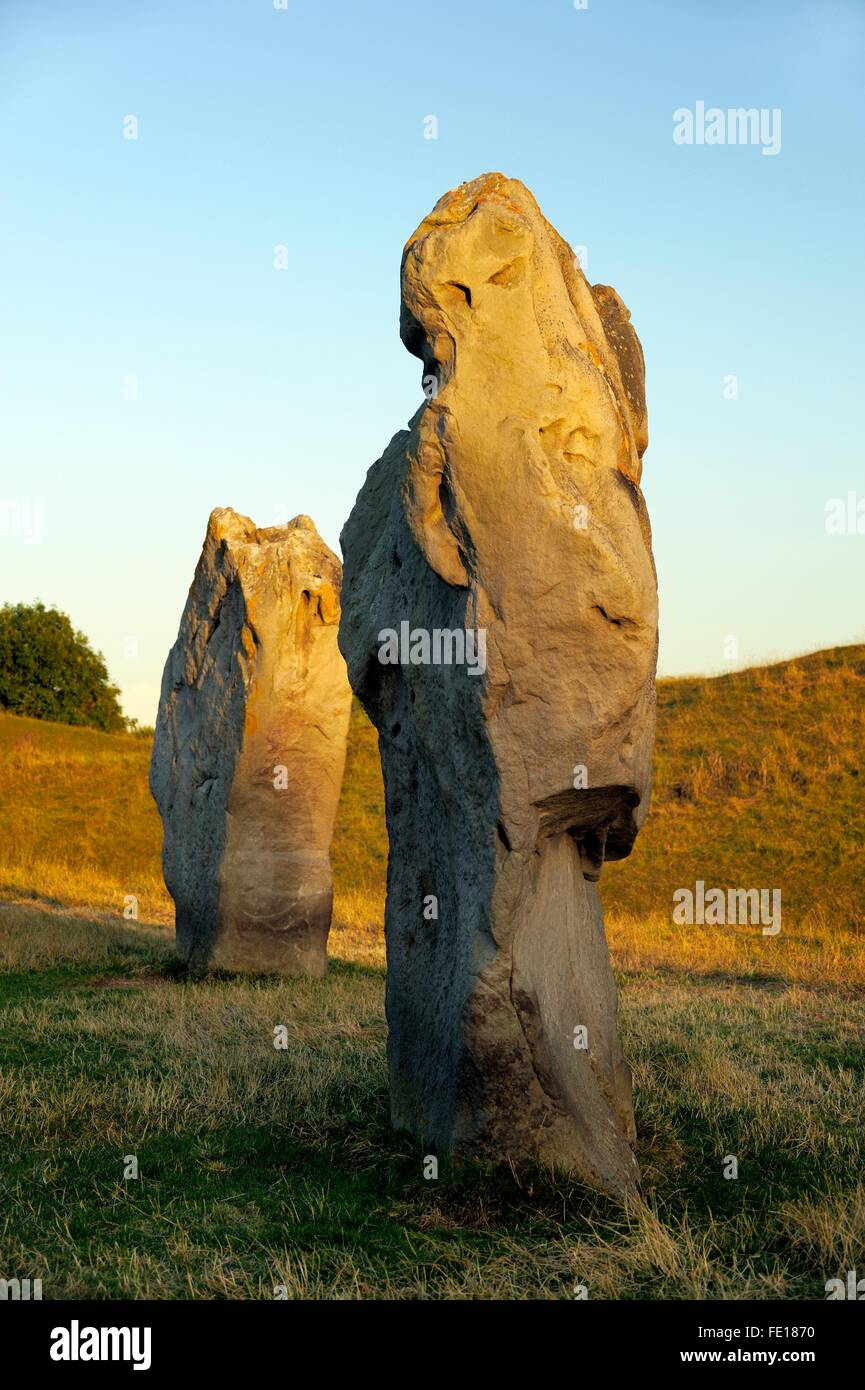 Ad Avebury henge neolitica e circoli di pietre, Wiltshire, Inghilterra. 5600 anni. I megaliti nel SW Quadrante. Banca Henge dietro Foto Stock