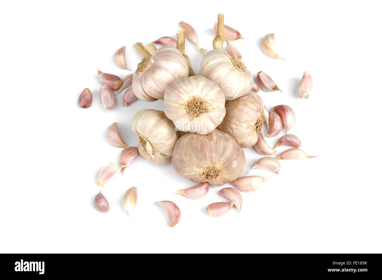 Aglio isolati su sfondo bianco Foto Stock