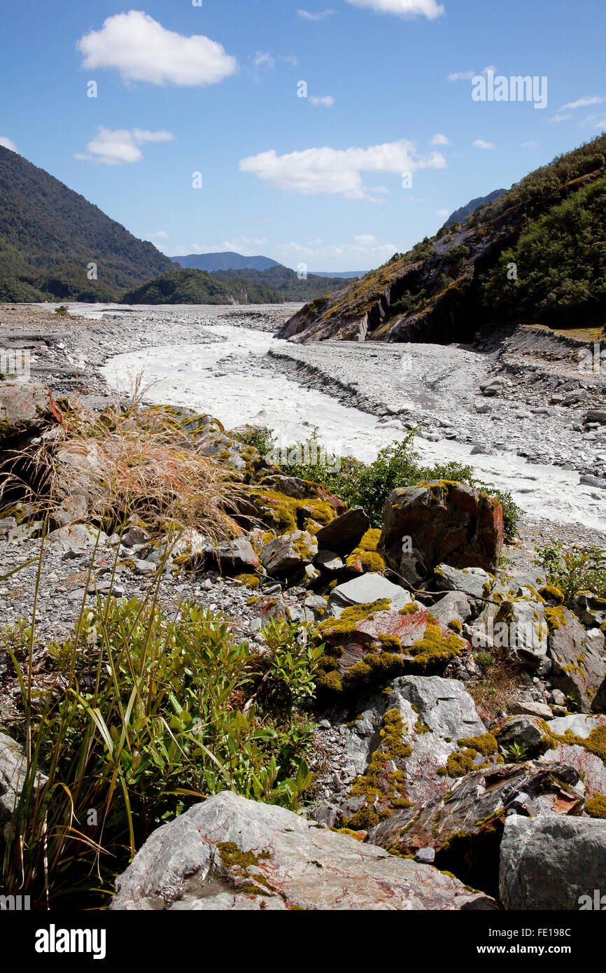 Flusso glaciale, Franz Joseph Glacier - Nuova Zelanda Foto Stock