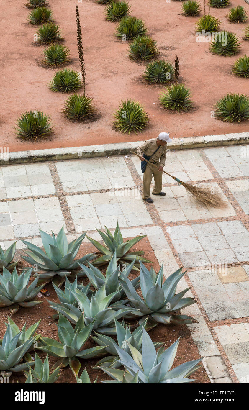 Uomo lavoratore messicano operaio di spazzamento cortile chiesa plaza con un rustico besom rametto di ginestra, città di Oaxaca, Oaxaca, Messico Foto Stock