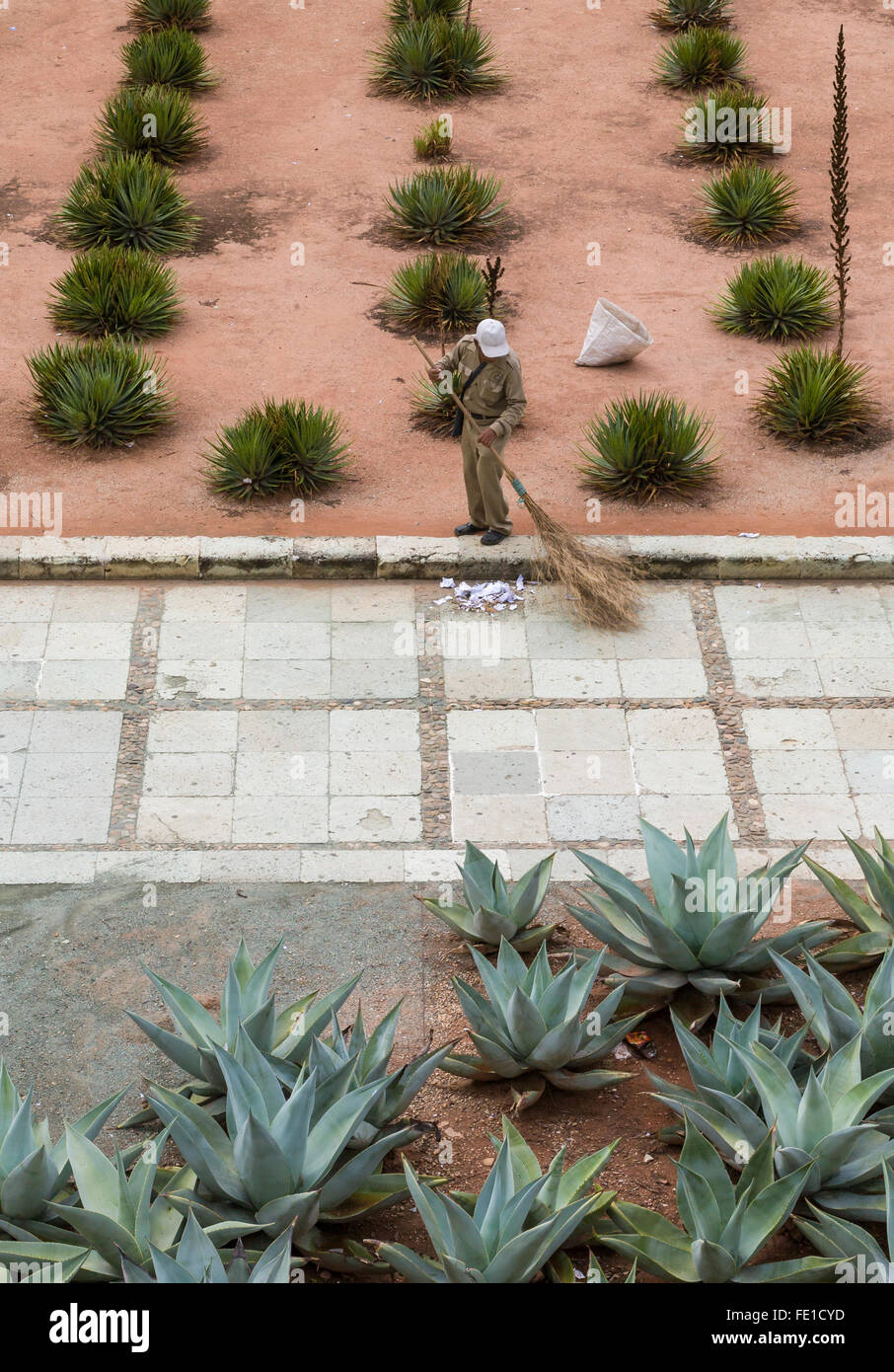 Uomo lavoratore messicano operaio di spazzamento cortile chiesa plaza con un rustico besom rametto di ginestra, città di Oaxaca, Oaxaca, Messico Foto Stock