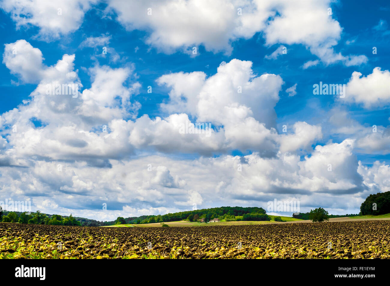 Skyscape blu con Cirro-cumulus nuvole - Francia. Foto Stock