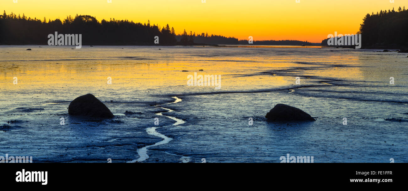 Deer Isle, Maine: Pre-alba riflessioni colore la marea modellato appartamenti di un cervo Isle cove Foto Stock