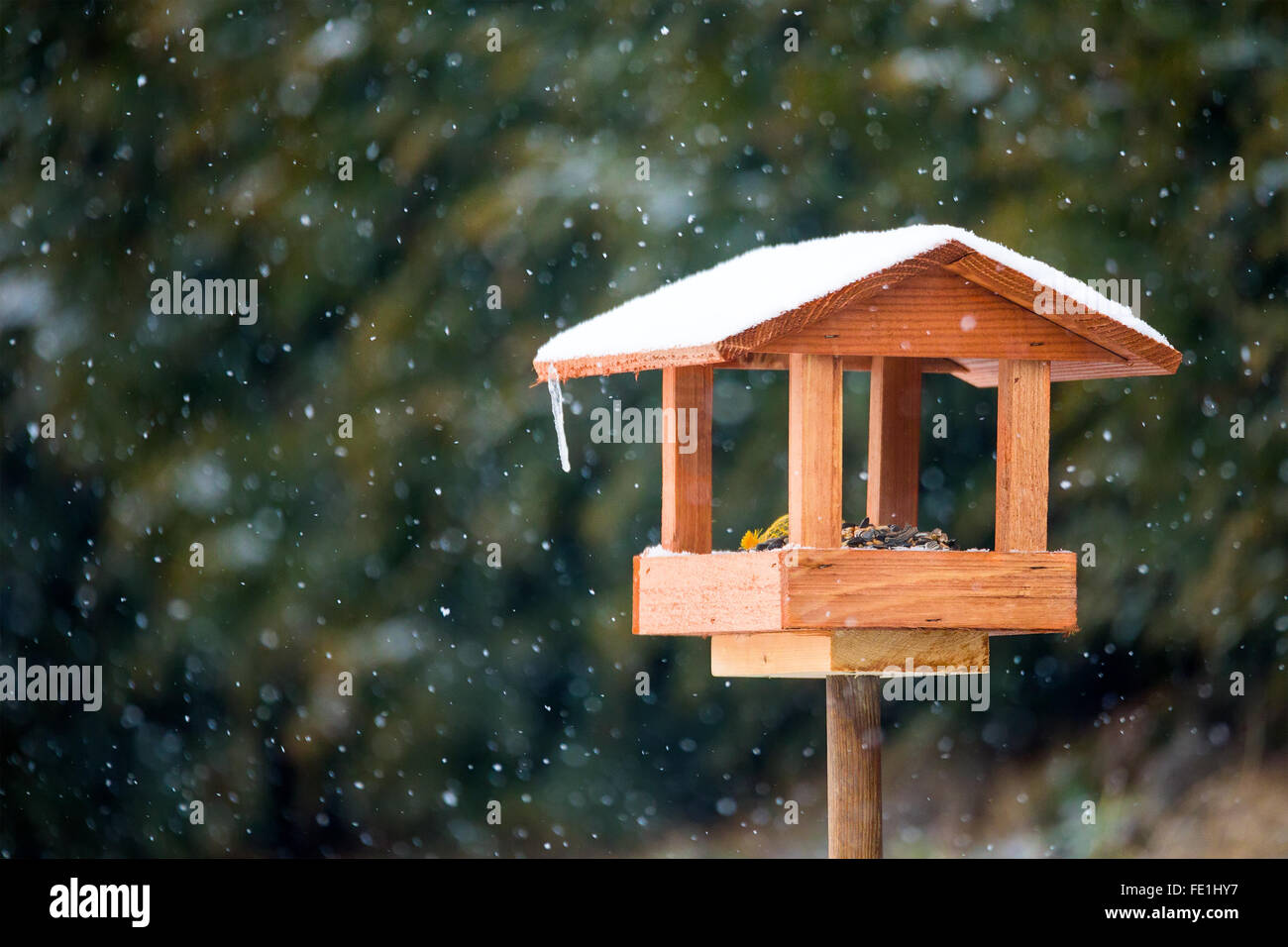 In casa semplice legno Bird Feeder installato su giardino d inverno in giornata nevosa Foto Stock