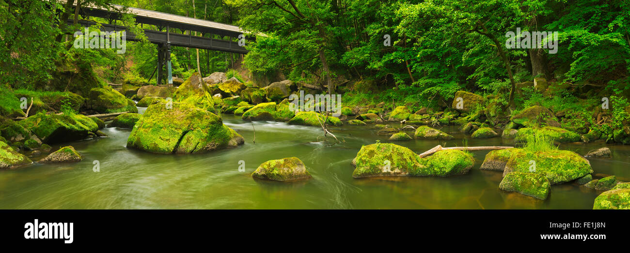 Un ponte coperto in legno su di un fiume in una lussureggiante foresta vicino a Irrel, Germania Foto Stock
