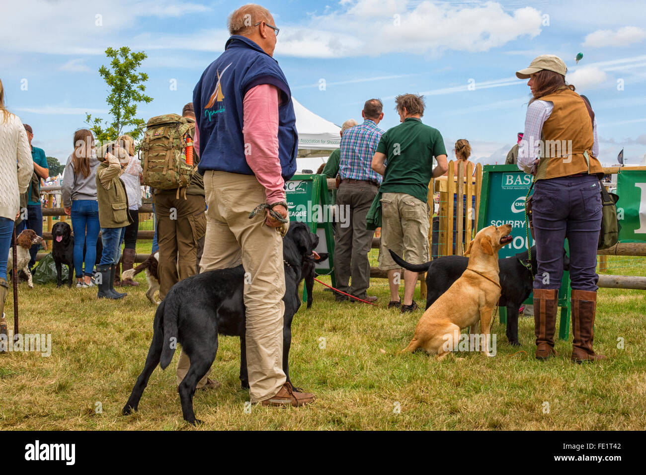 I cani in attesa di un si affrettano a una fiera a Harewood House nello Yorkshire, Regno Unito Foto Stock
