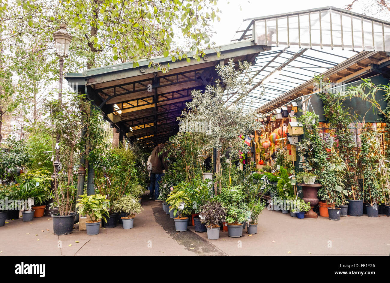 Fiori e uccelli mercato sul posto Lepine, Île de la Cité di Parigi, Francia. Foto Stock