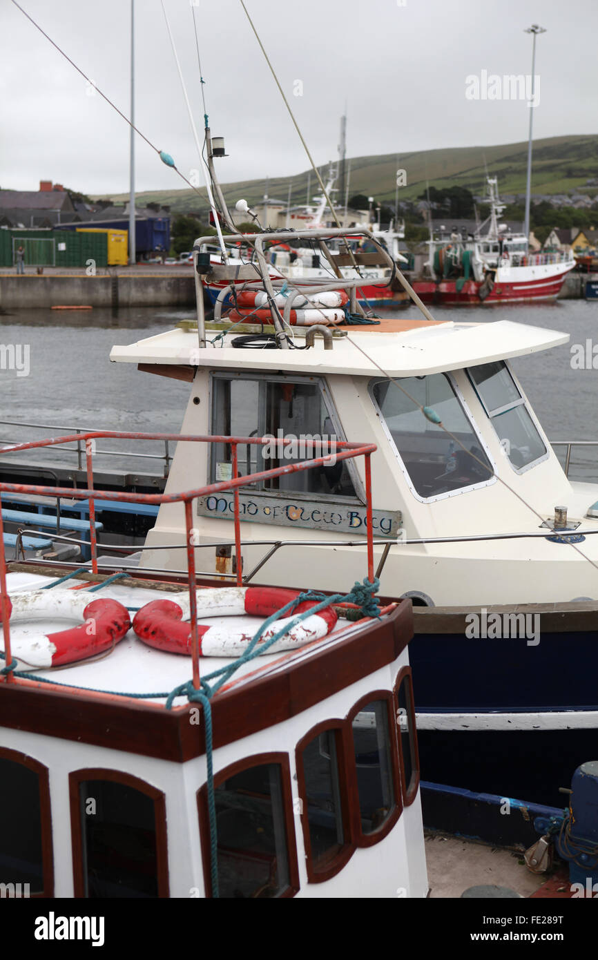 Barche in Dingle marina, Co. Kerry, Irlanda Foto Stock