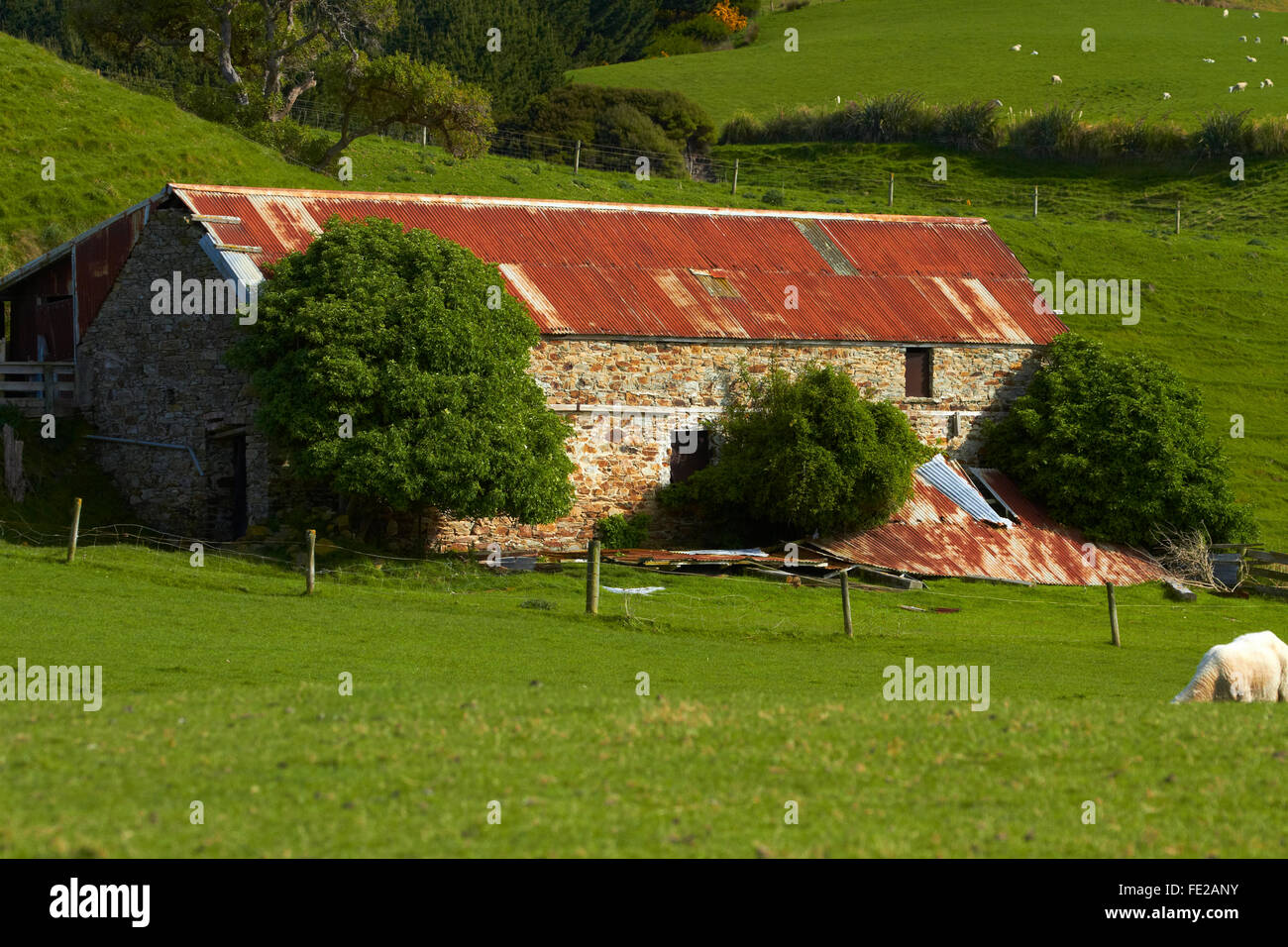 Il vecchio fienile e terreni agricoli, vicino Taieri bocca, Dunedin, Otago, Isola del Sud, Nuova Zelanda Foto Stock