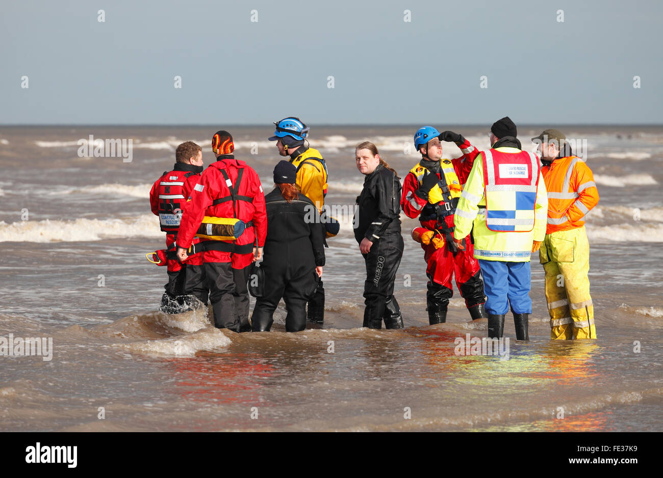 Old Hunstanton, Norfolk, Inghilterra, Regno Unito. 4 febbraio 2016. Una spiaggiata capodoglio combatte per la sua vita come la marea sale intorno ad esso. Credito: Stuart Aylmer/Alamy Live News Foto Stock