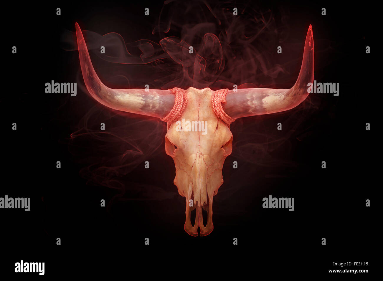 Testa cranio di Bull in fumo isolati su sfondo nero Foto Stock