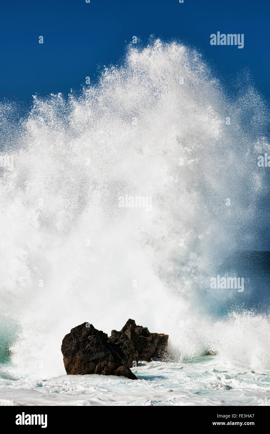 Grandi onde esplodere contro l'offshore rocce laviche a Laupahoehoe punto sulla Big Island delle Hawaii. Foto Stock