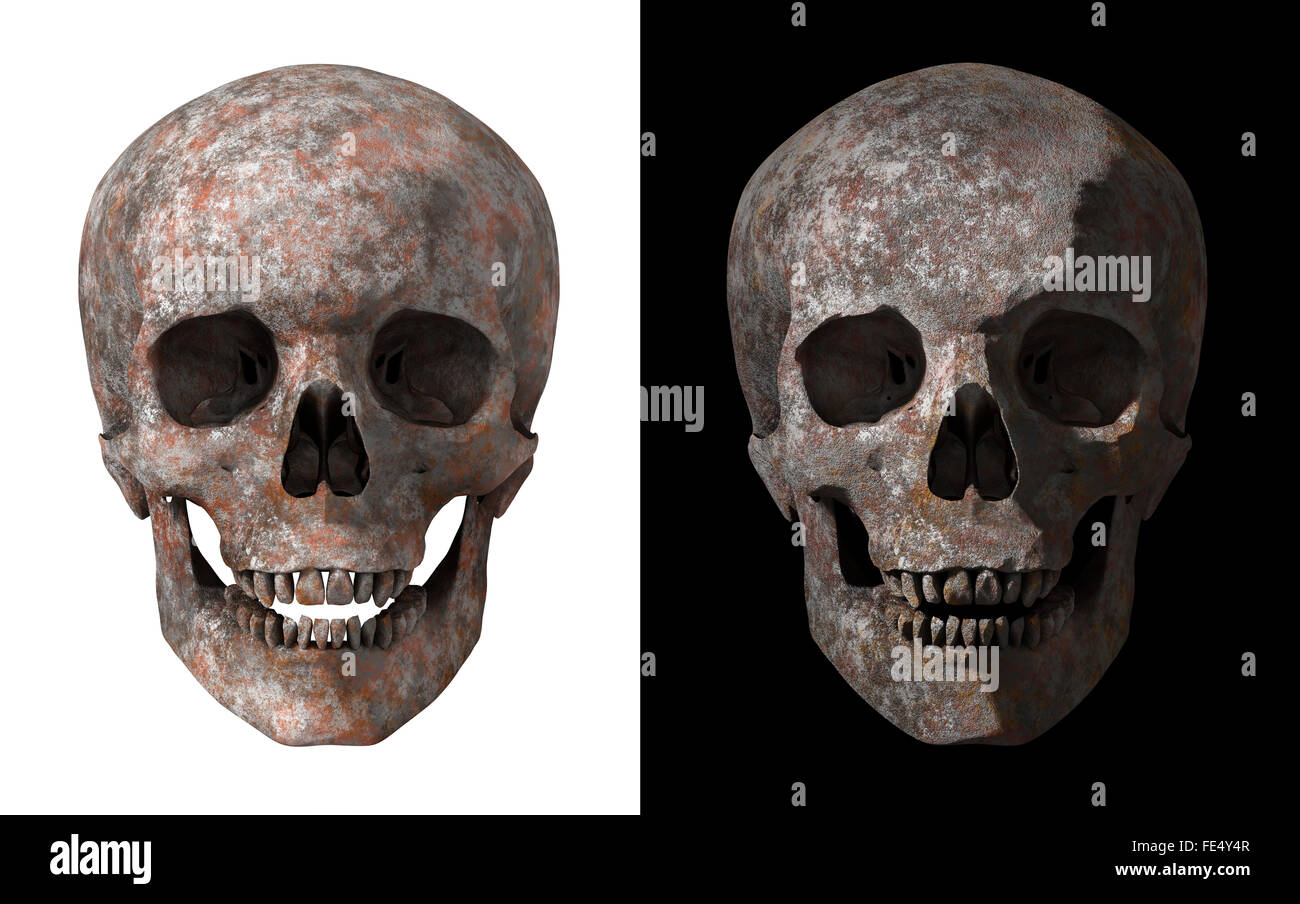 Cranio umano fatto di metallo arrugginito impostato Foto Stock