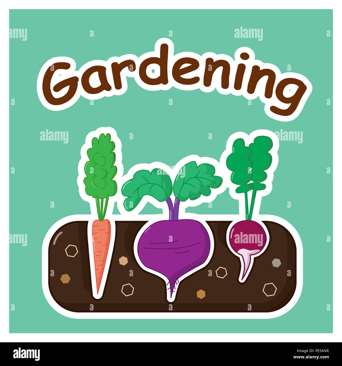 Letto giardino con barbabietole carote e ravanelli Illustrazione Vettoriale