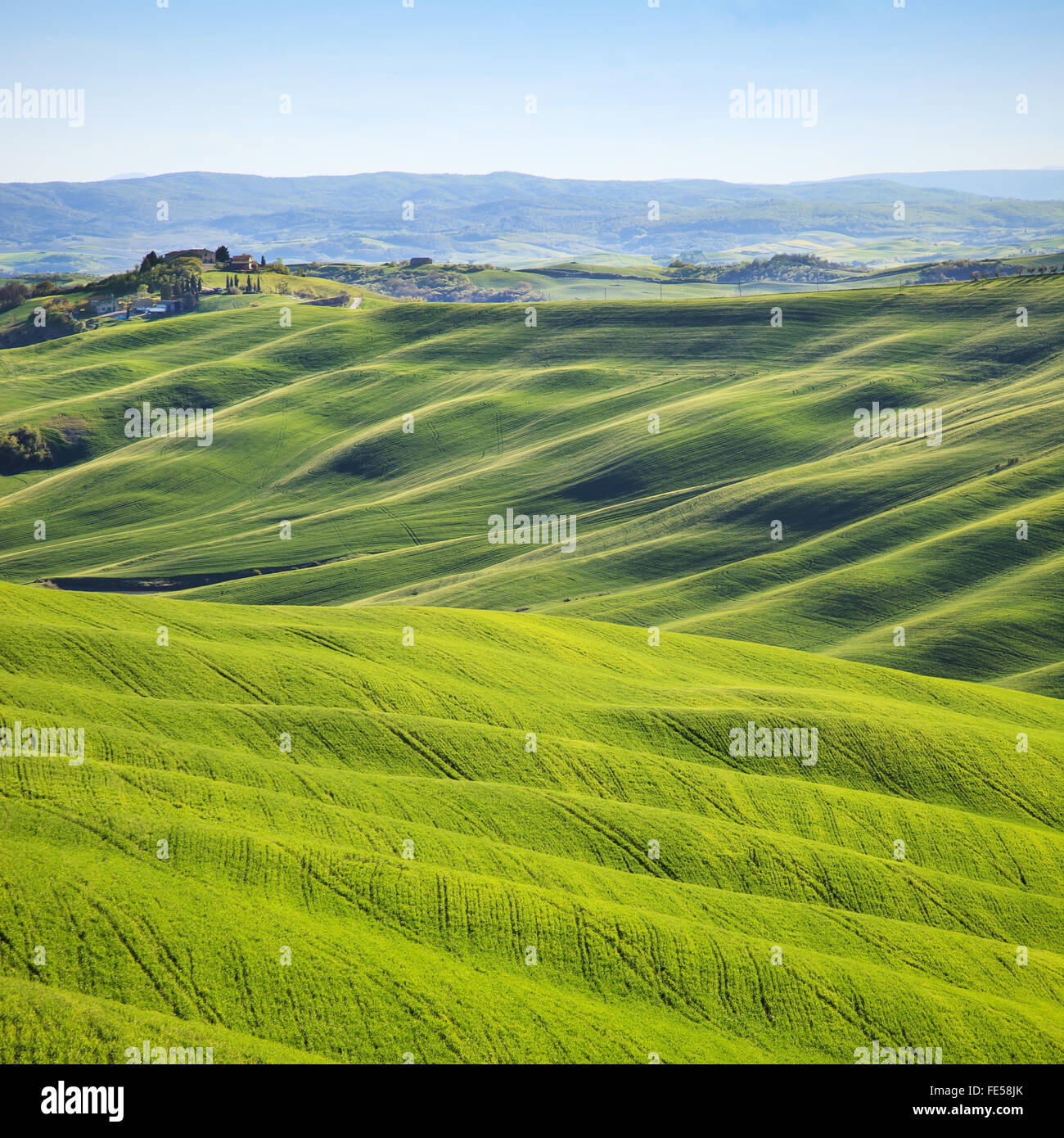 Toscana, colline sul tramonto. Crete Senesi Paesaggio rurale. Campi verdi e una fattoria con alberi in background. Foto Stock