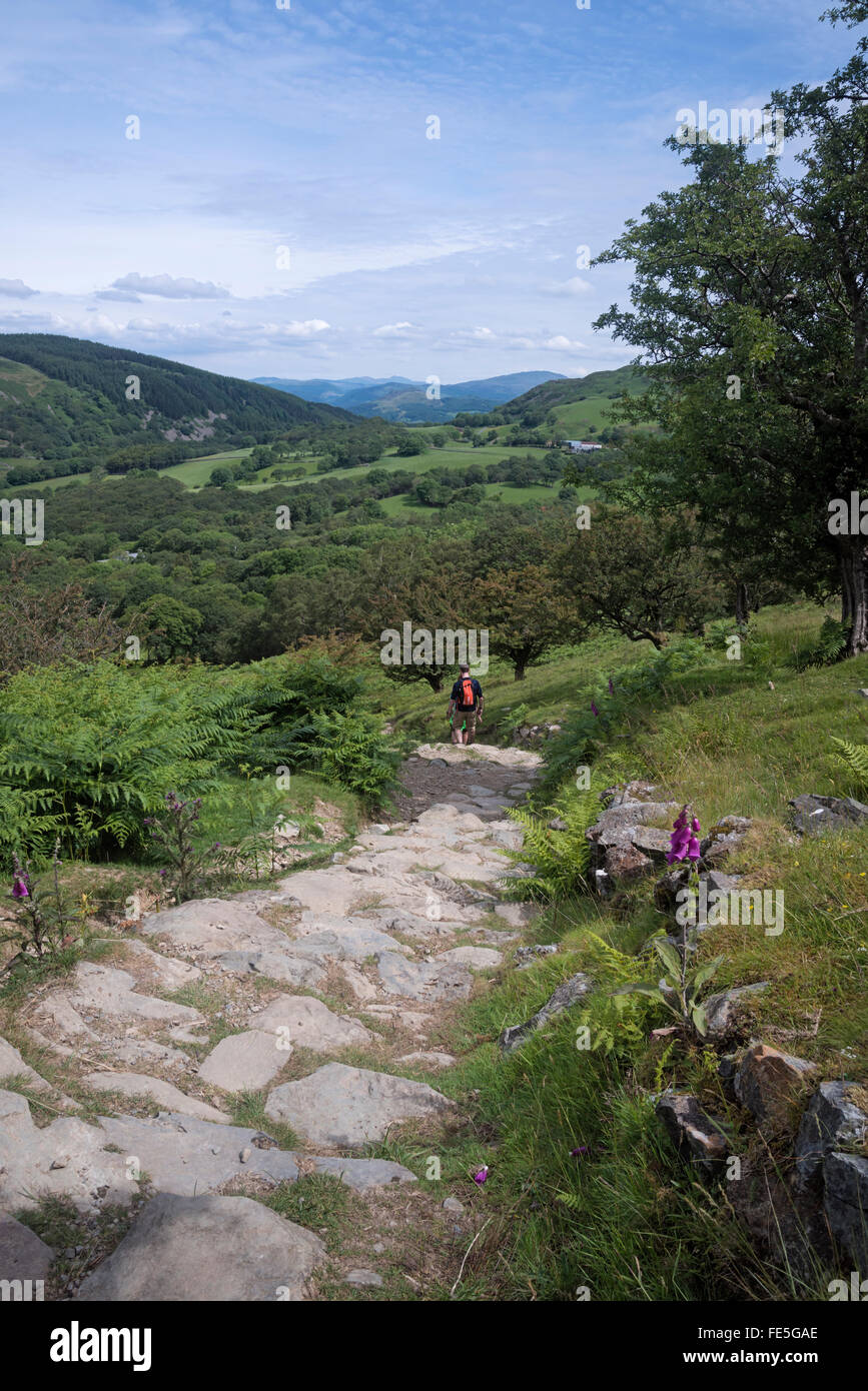 Vista sulle colline di Snowdonia, Galles, con sentiero e camminatore Foto Stock