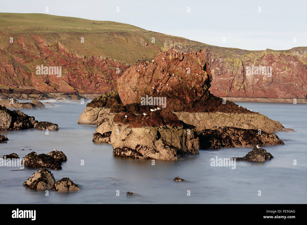 St Abbs. piccolo villaggio di pescatori.Berwickshire. Foto Stock