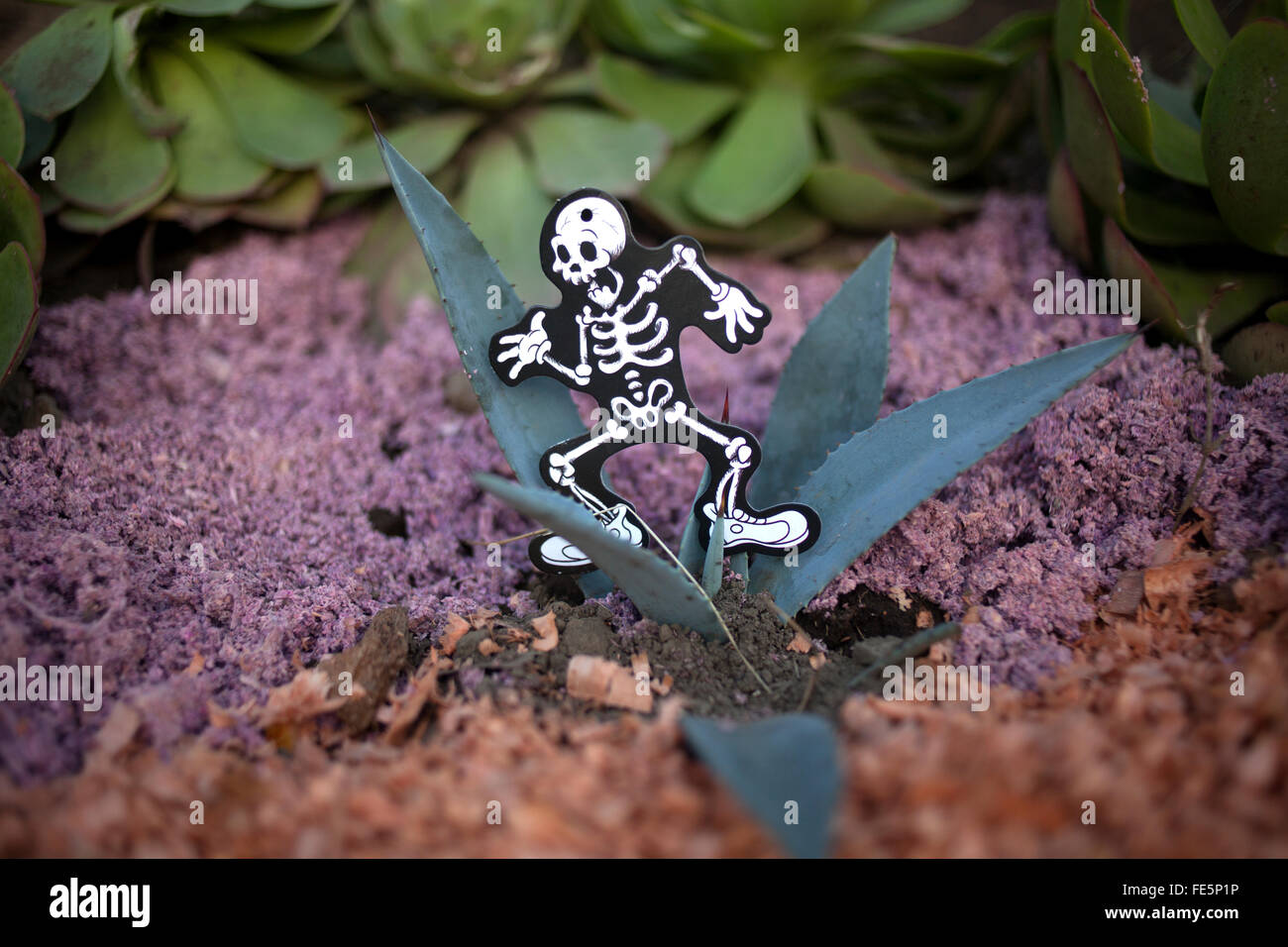 Un'immagine di uno scheletro in esecuzione decora un cactus su una tomba nel cimitero di San Gregorio Atlapulco, Xochimilco Foto Stock