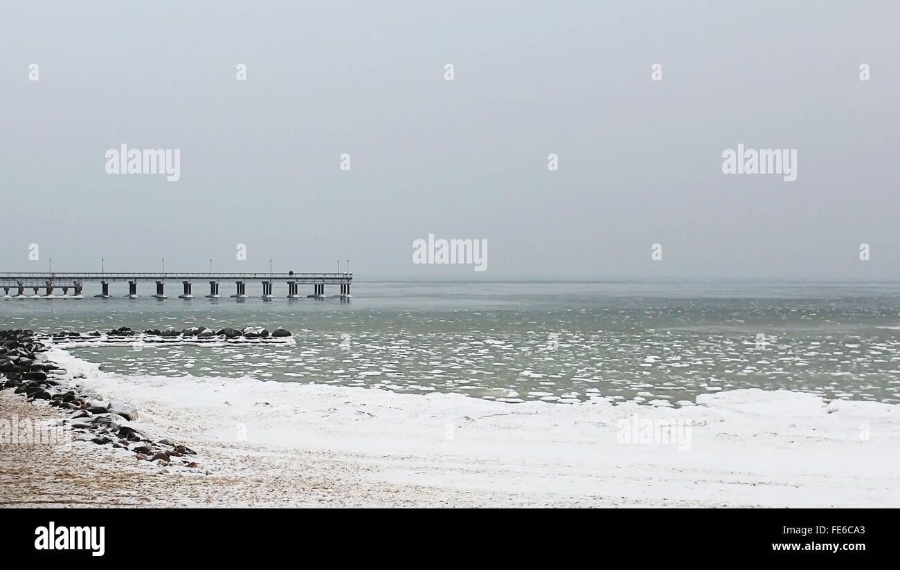 Il pastore tedesco va per una passeggiata Foto Stock