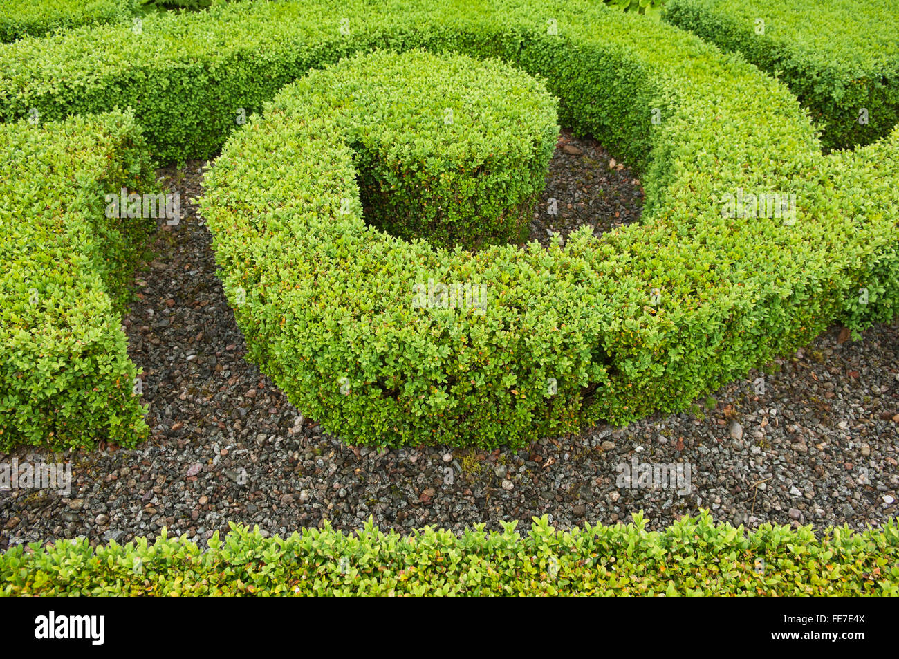 Frontiere ornati a Pitmedden Garden, Aberdeenshire, Scozia. Foto Stock