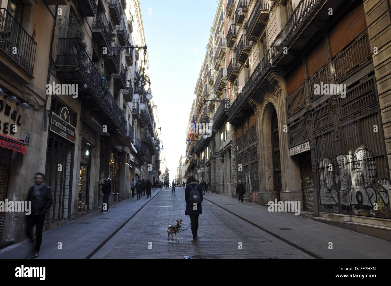 Cane a camminare sulle strade di Barcellona Foto Stock