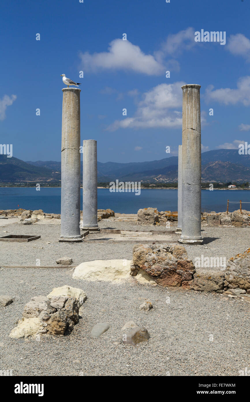 Le antiche rovine romane di Nora, vicino a Pula in Sardegna Foto Stock