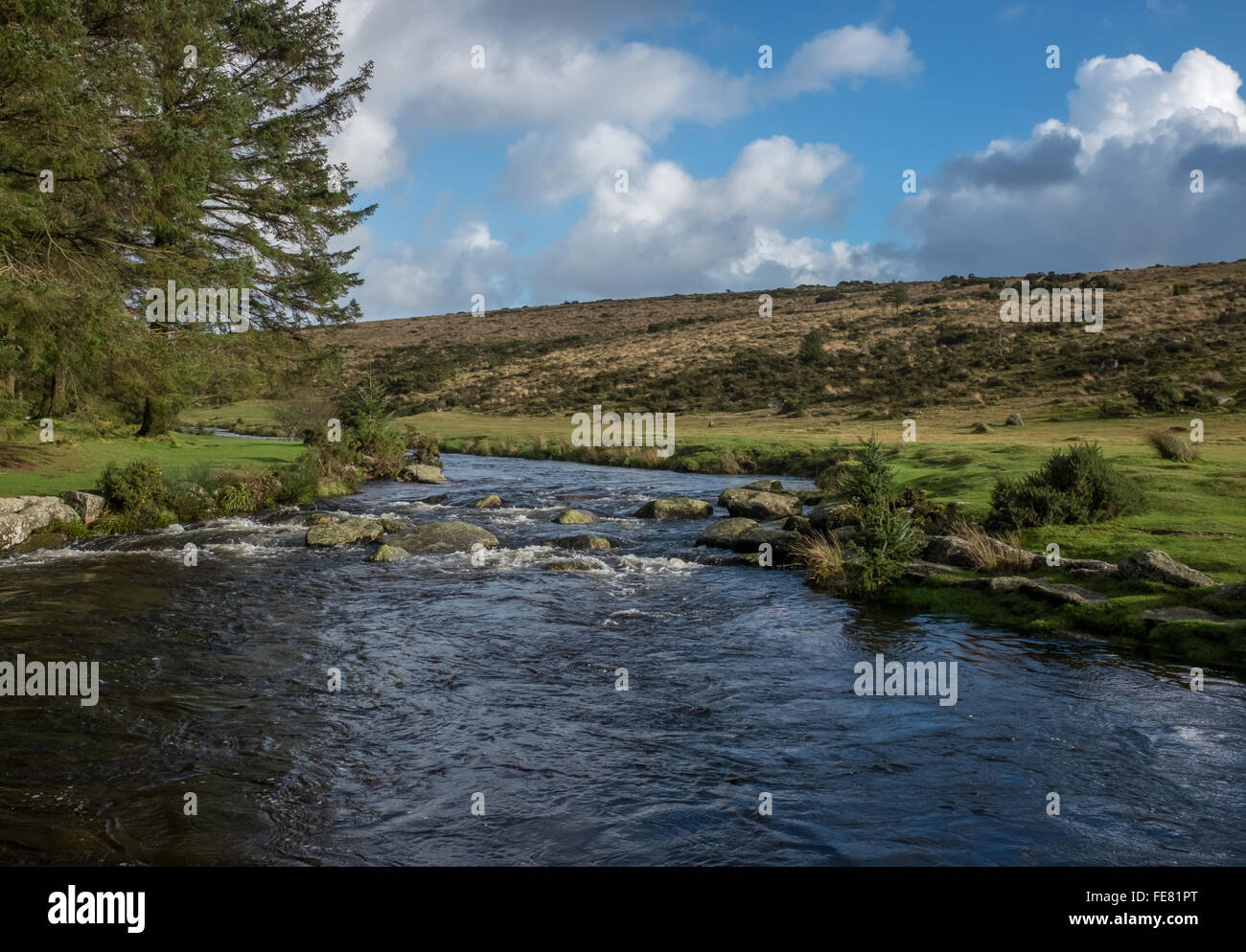 Il est fiume Dart a bellever,dartmoor Foto Stock