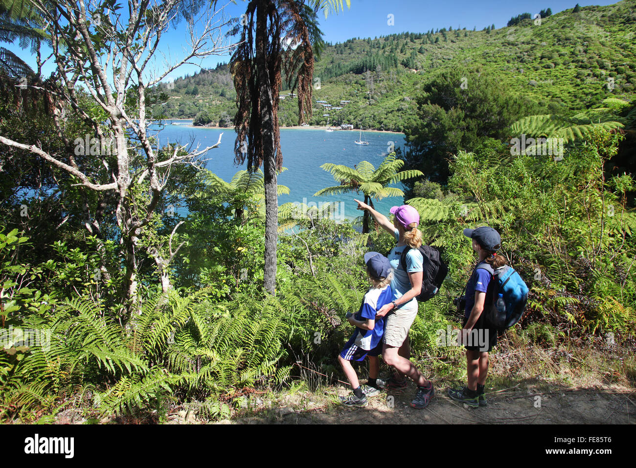 Donna e due bambini si avvicinano Punga Cove, Queen Charlotte Track, Marlborough, Nuova Zelanda Foto Stock