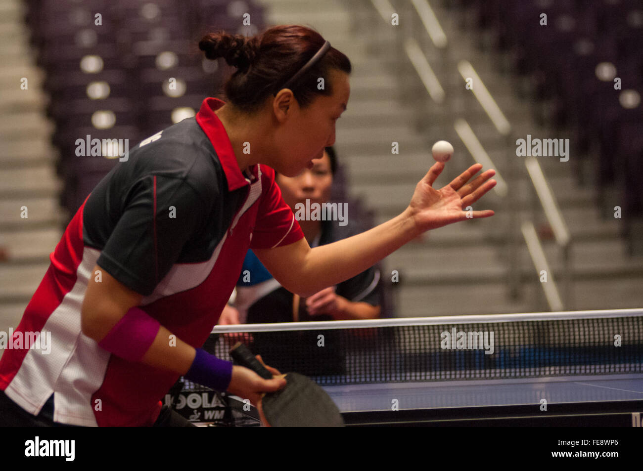 Greensboro, Nord Carolina, USA. 4 febbraio, 2016. Febbraio 4, 2016 - Greensboro, N.C., STATI UNITI D'AMERICA - CHEN WANG serve a YING LU nel femminile finali all'2016 U.S. Olympic Tennis da tavolo prove. WANG, un 2008 Olympian, sconfitto LU in quattro dritto fino a diventare la prima donna a qualificarsi per il 2016 Olimpiadi di estate. I primi tre uomini e donne dalle prove spostare a competere in aprile al 2016 Nord America qualificazione olimpica nel torneo di Ontario, Canada. Le 2016 Olimpiadi di estate si terrà a Rio de Janeiro, Brasile, Agosto 5-21. © Timothy L. Hale/ZUMA filo/Alamy Live News Foto Stock