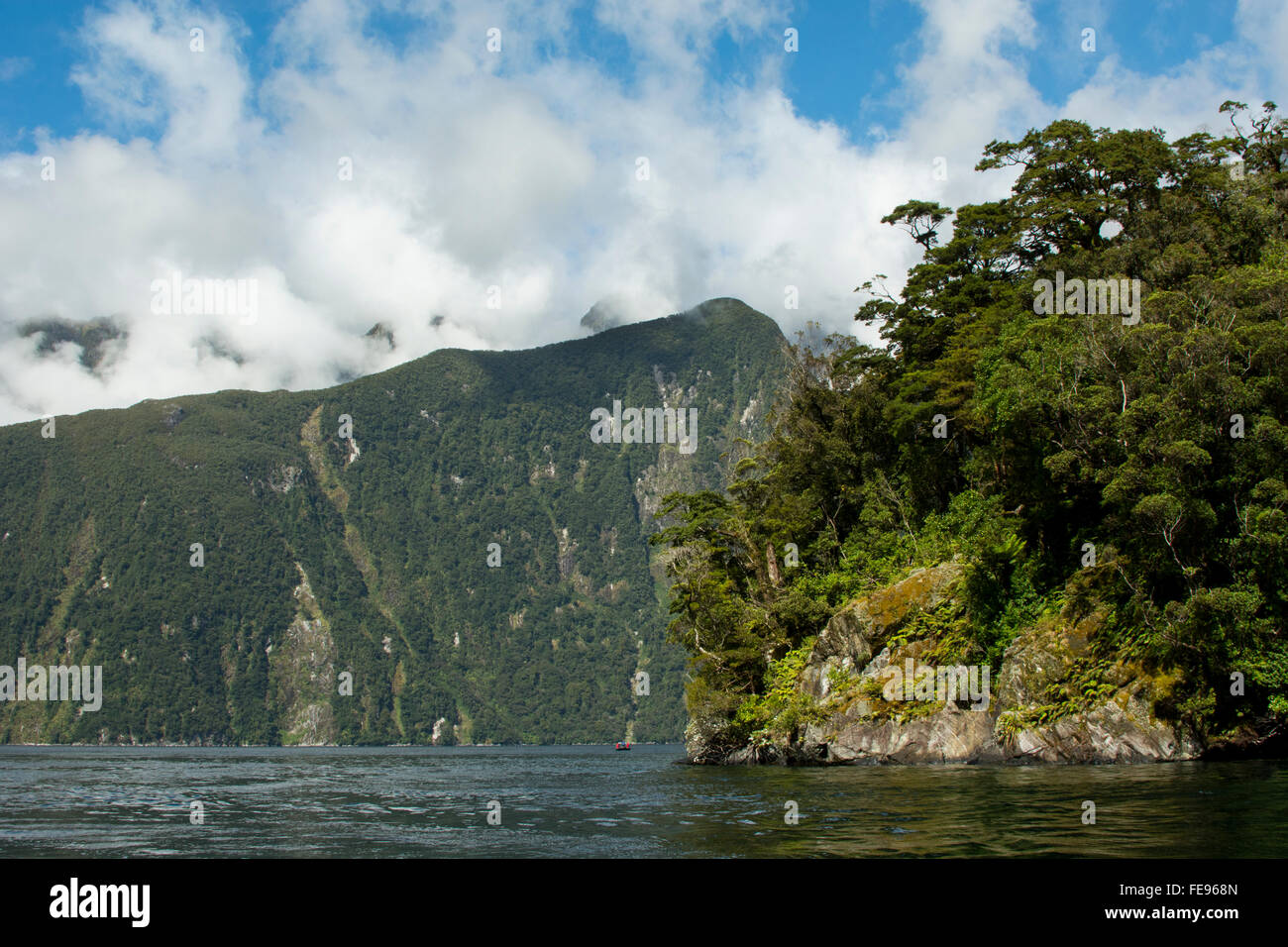 Nuova Zelanda, Isola del Sud, il Parco Nazionale di Fiordland, Milford Sound. Foto Stock