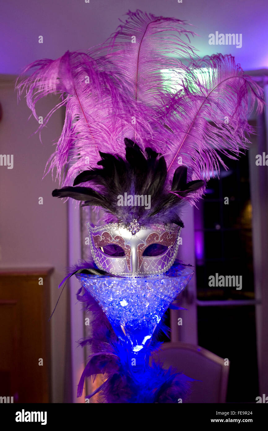 Una maschera con le piume di notte Foto Stock