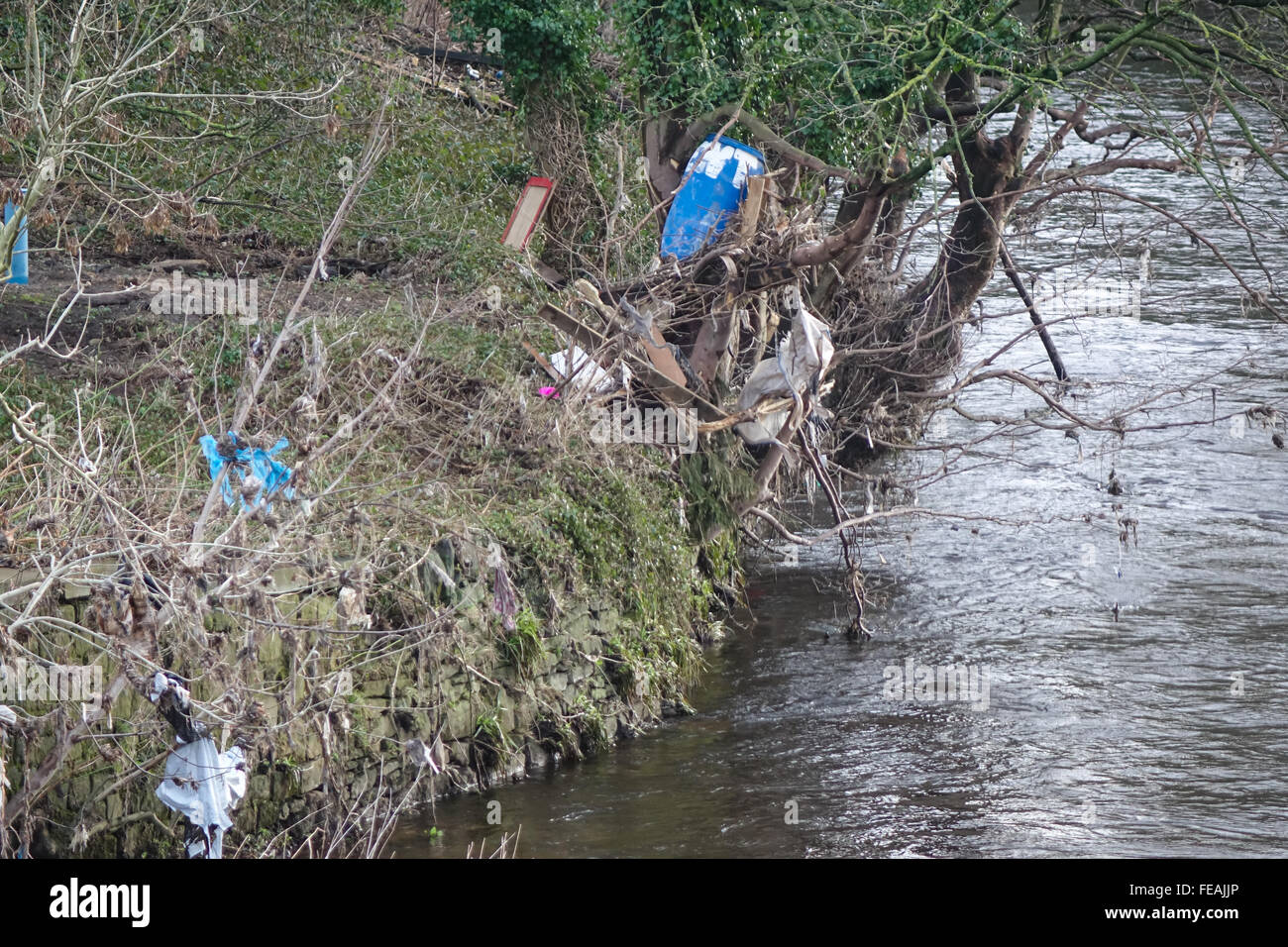 Residuo di alluvione e lettiere in alberi sul fiume Calder, B6112, Stainland Rd, Halifax, West Yorkshire HX3 9EQ. Foto Stock