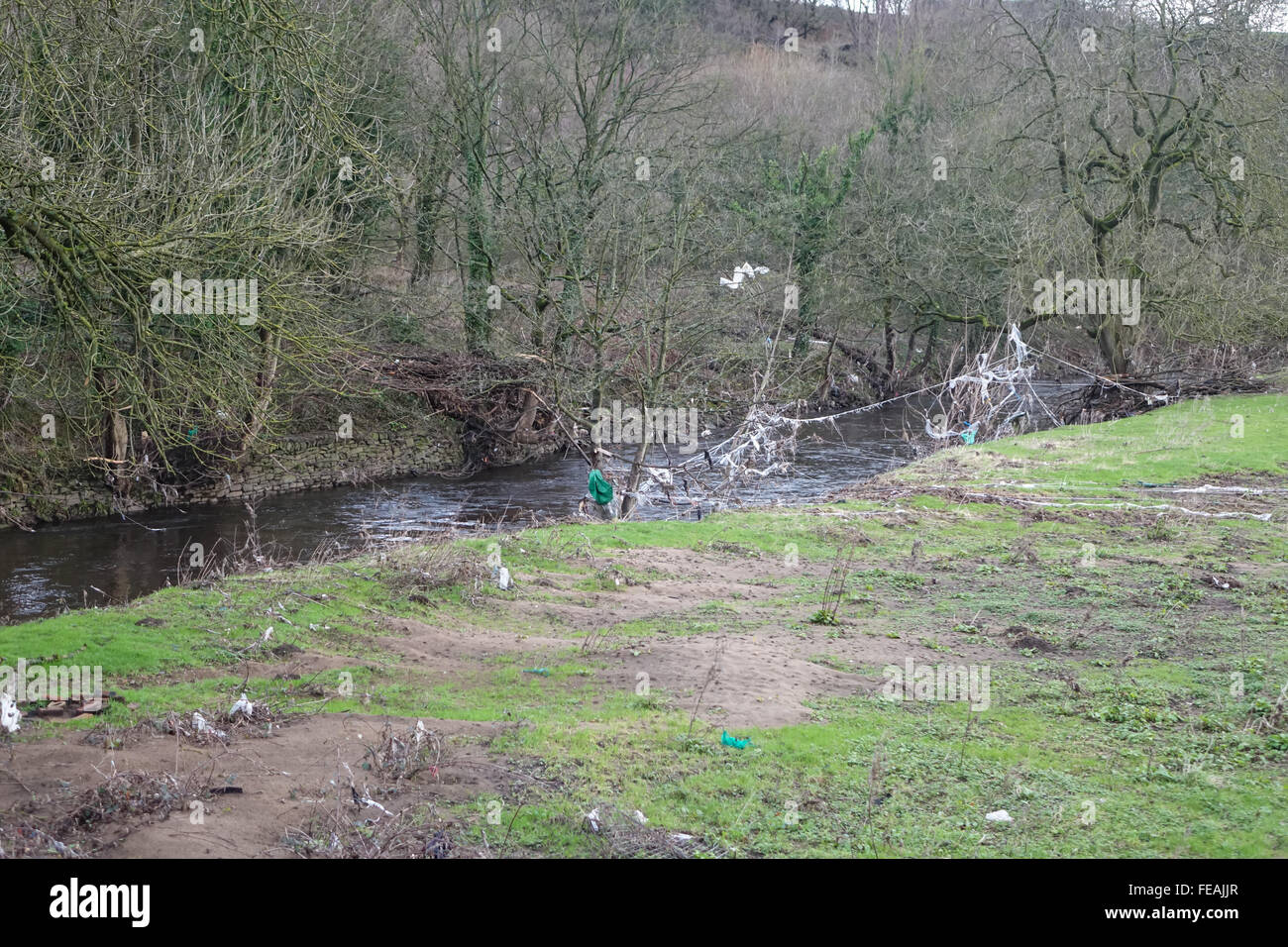 Residuo di alluvione e lettiere in alberi sul fiume Calder, B6112, Stainland Rd, Halifax, West Yorkshire HX3 9EQ. Foto Stock