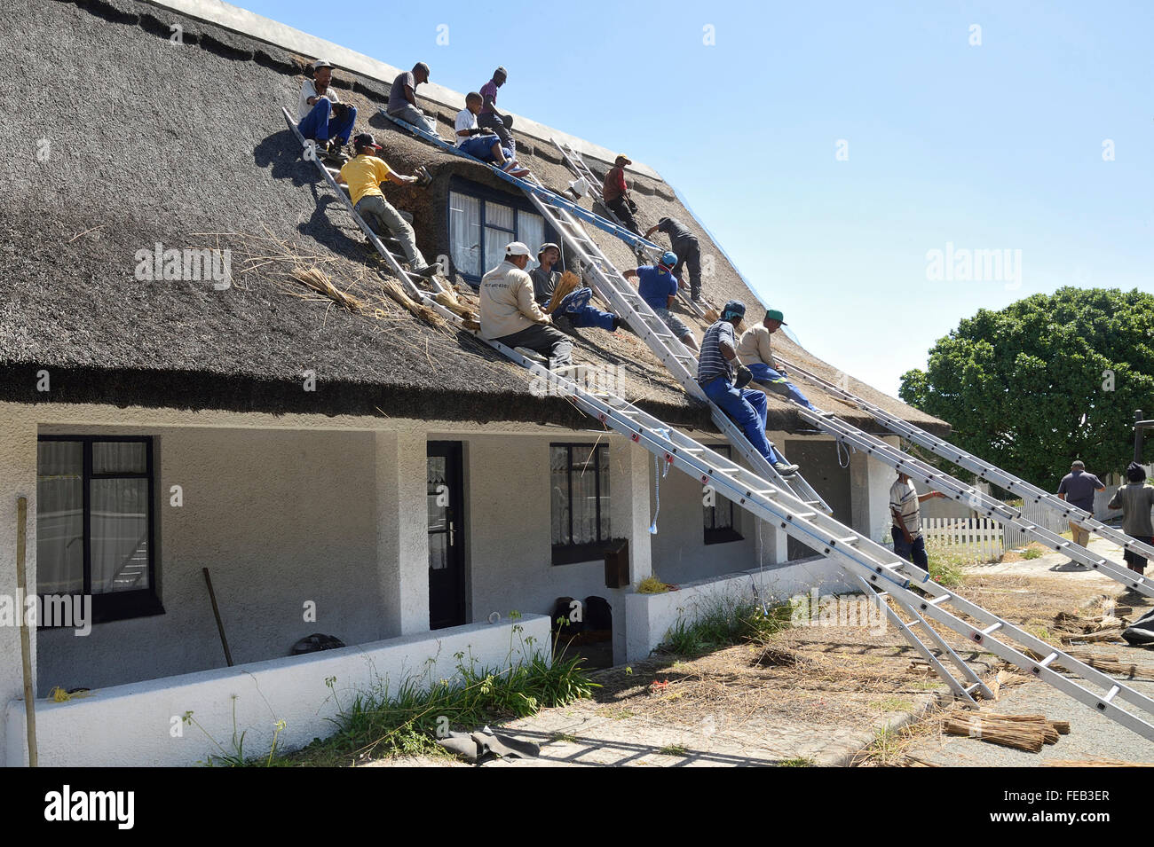 Thatchers la ricostruzione di un tetto di paglia, Sud Africa Foto Stock