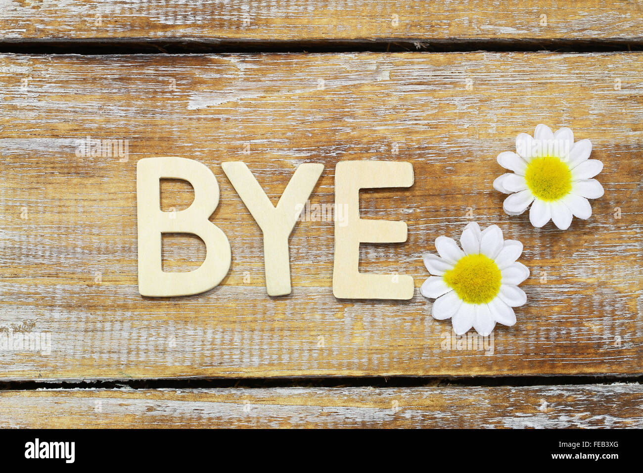 Bye scritto con lettere in legno bianco e fiori a margherita Foto Stock