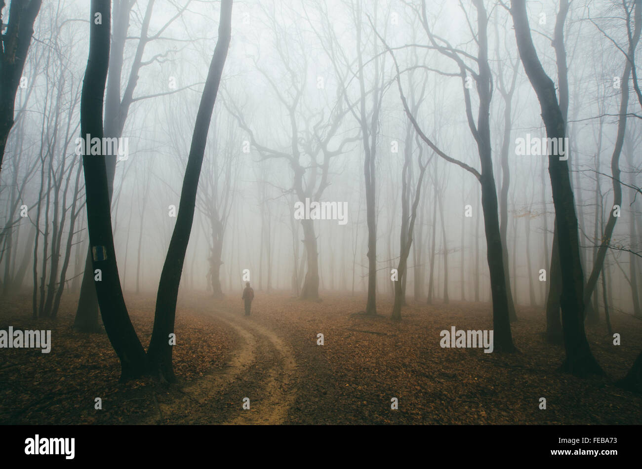 Uomo che cammina sulla strada forestale in haunted foresta misteriosa Foto Stock