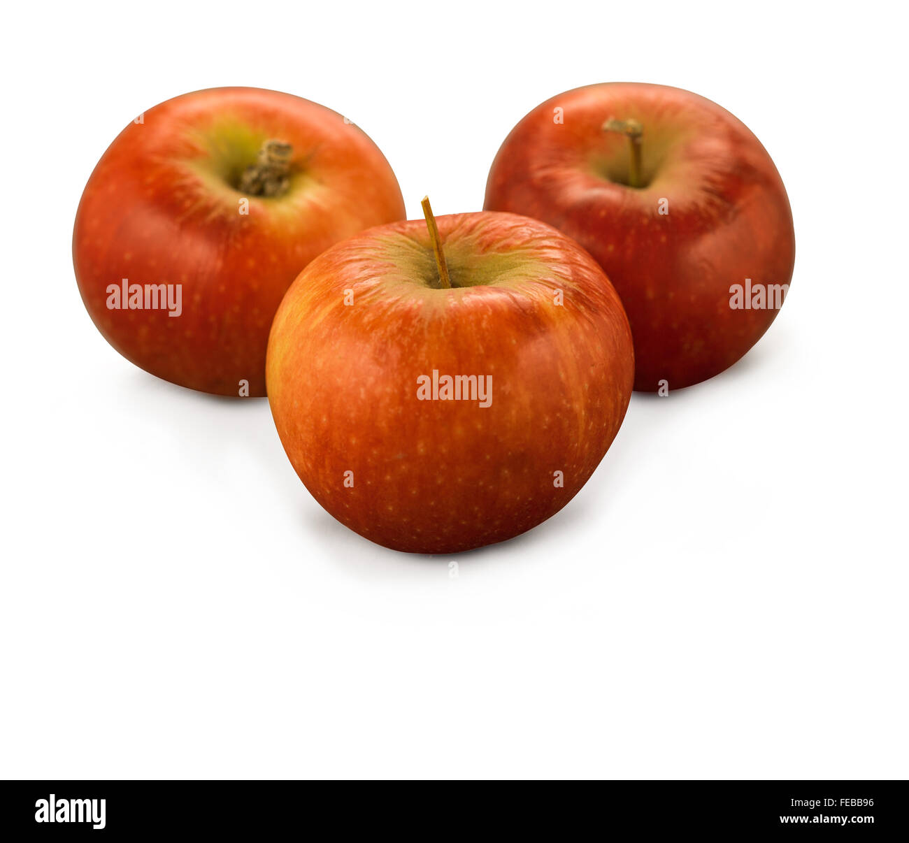 Fiesta organico apple isolati su sfondo bianco Foto Stock