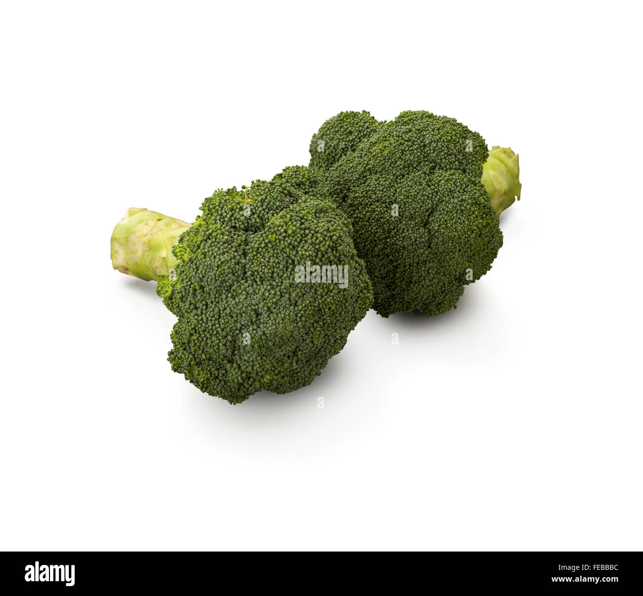Broccoli organici isolati su sfondo bianco Foto Stock