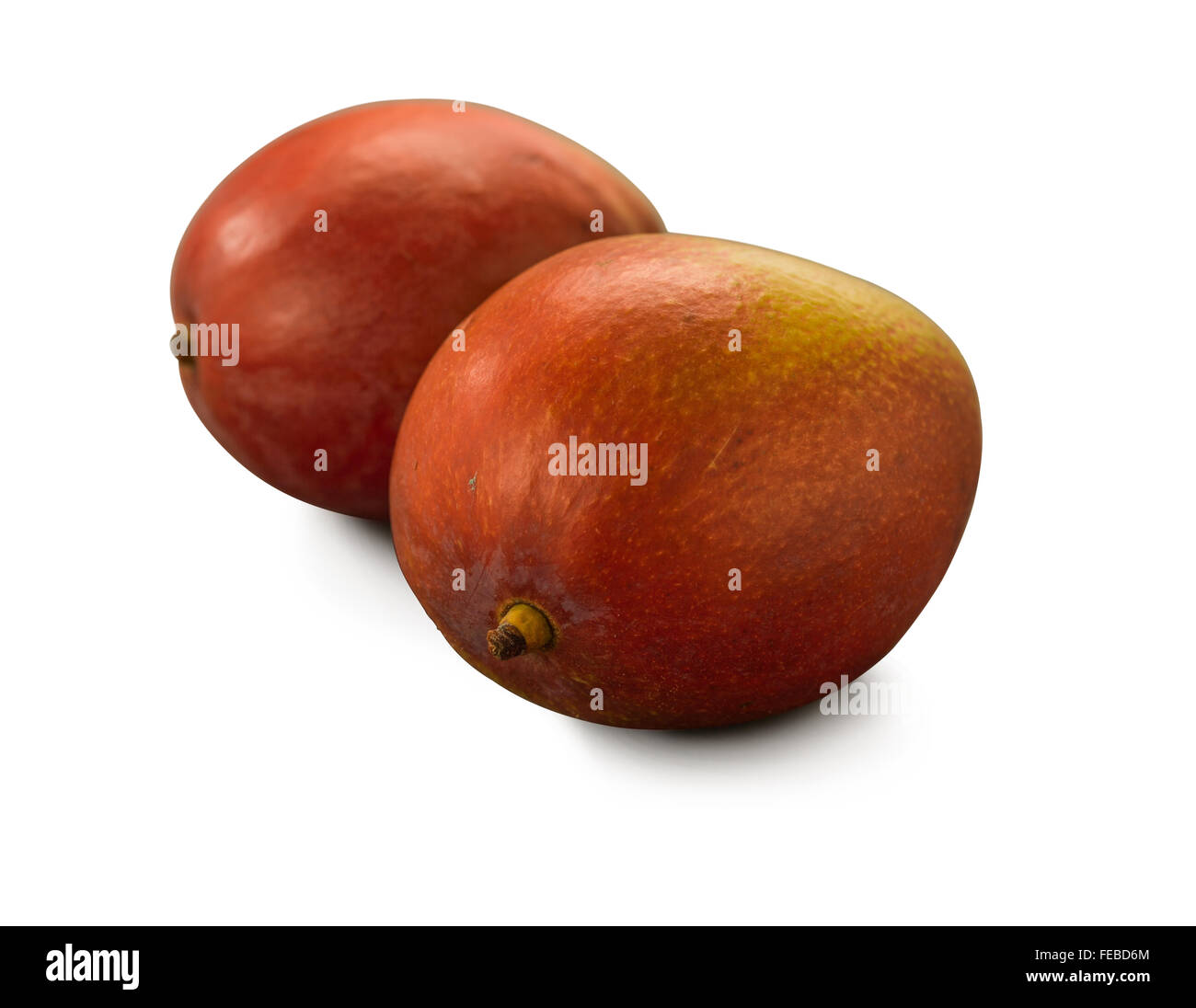 Mango organico tommy atkins isolato su bianco Foto Stock