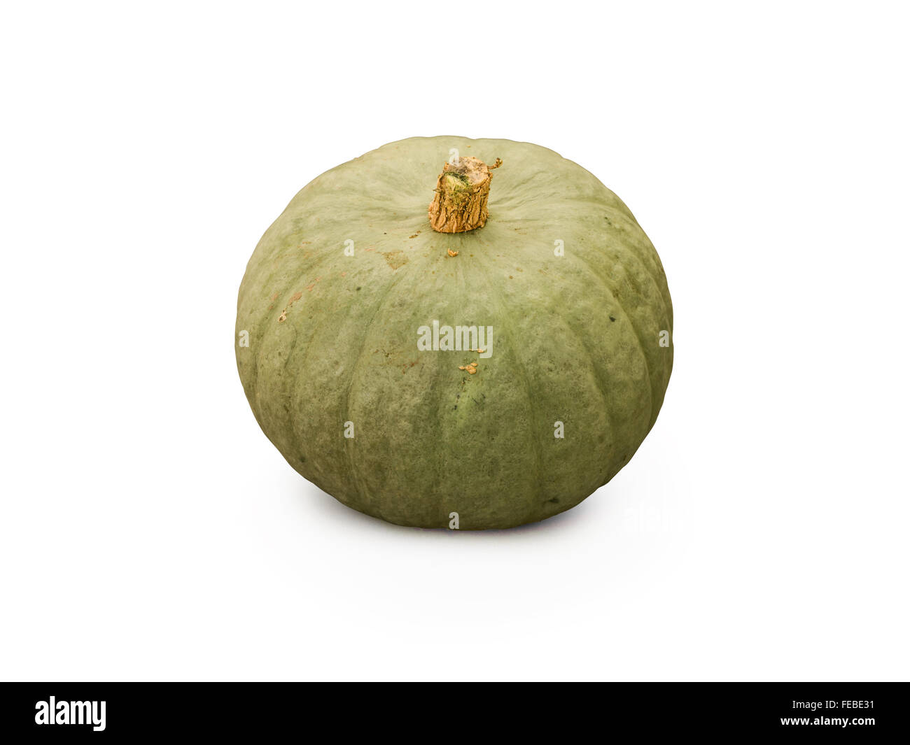 Organici di squash isolati su sfondo bianco Foto Stock