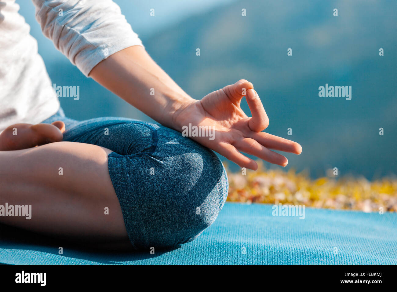 Close up Padmasana lotus pongono Foto Stock