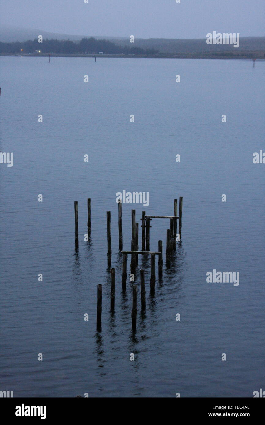 Resti di un molo in legno a Bodega Bay, CALIFORNIA, STATI UNITI D'AMERICA Foto Stock