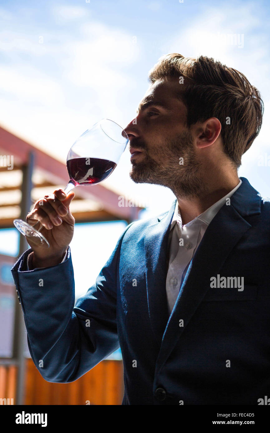 Ben vestito uomo bicchiere da degustazione di vino Foto Stock